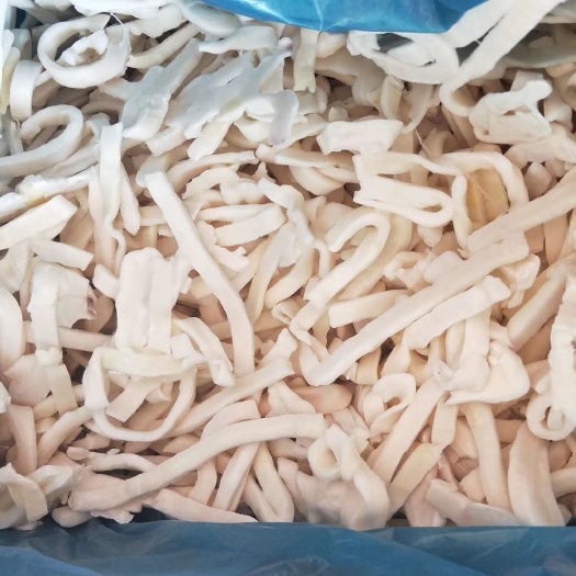 荣成市阿根廷鱿鱼 残条