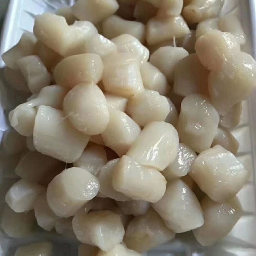雷州市干贝  瑶柱（英文名：Scallops）自养自销
