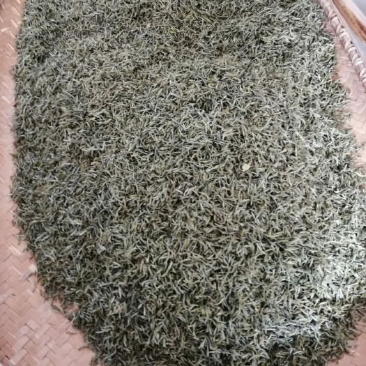 岳西县竹叶青茶 产地直销，价格抄底