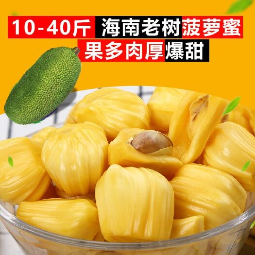 陵水县海南热带水果黄肉干苞菠萝蜜出果高基地直销 一手货源一件代发