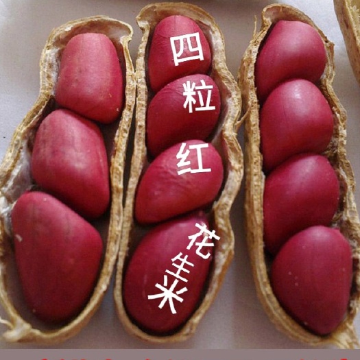 五常市花生米四粒红花生不一样花生不一样味道特香四粒红花5斤装