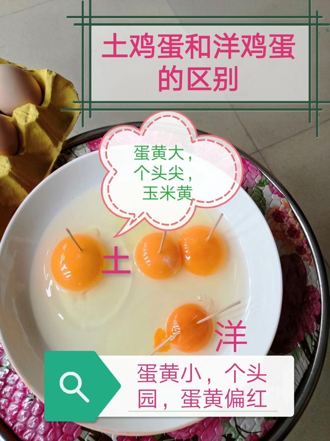 主做绿壳蛋，土鸡蛋