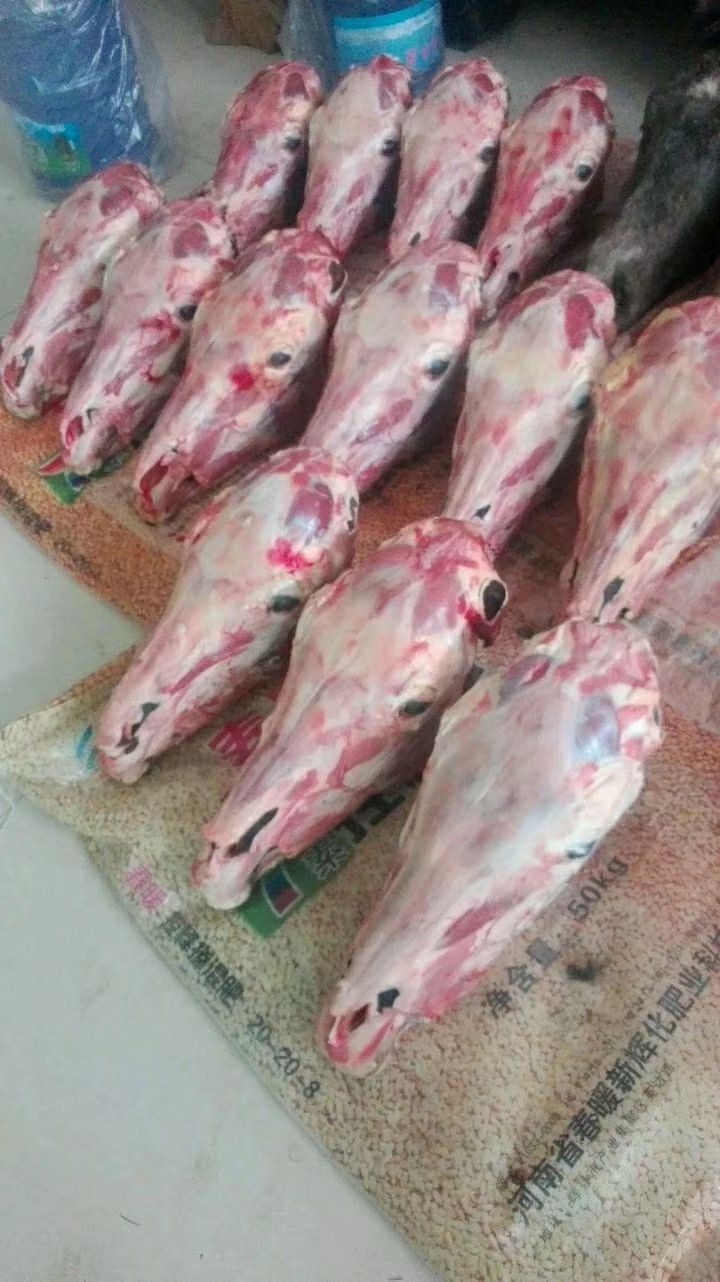  新鲜马头扒皮马头，自家加工厂，一手货源
