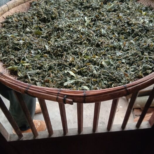 苍梧县广西六堡茶 农家清明茶