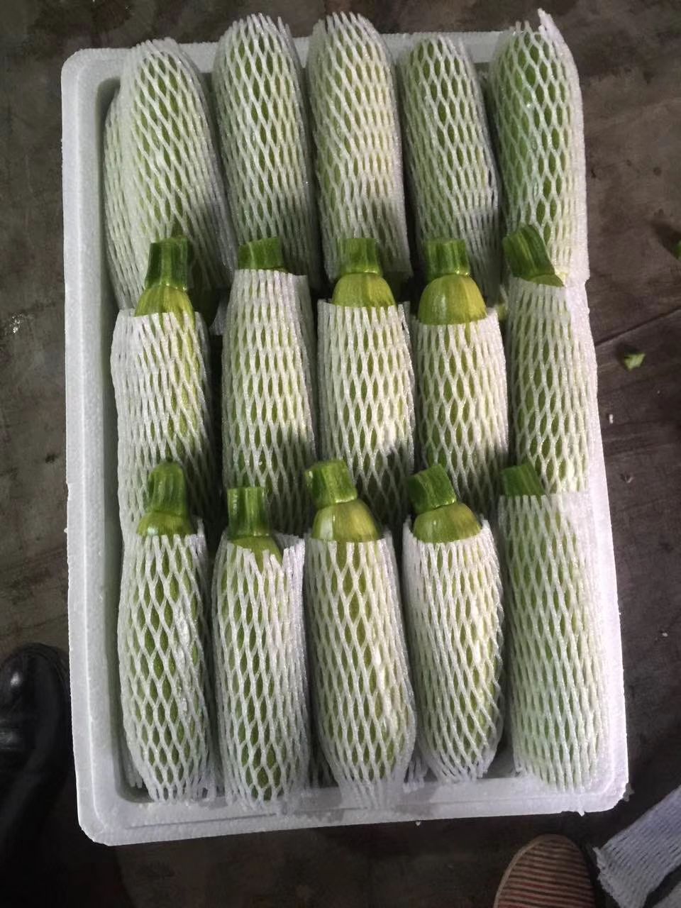 寿光绿皮西葫芦  产地实力代收 供应超市 档口 电商 食堂