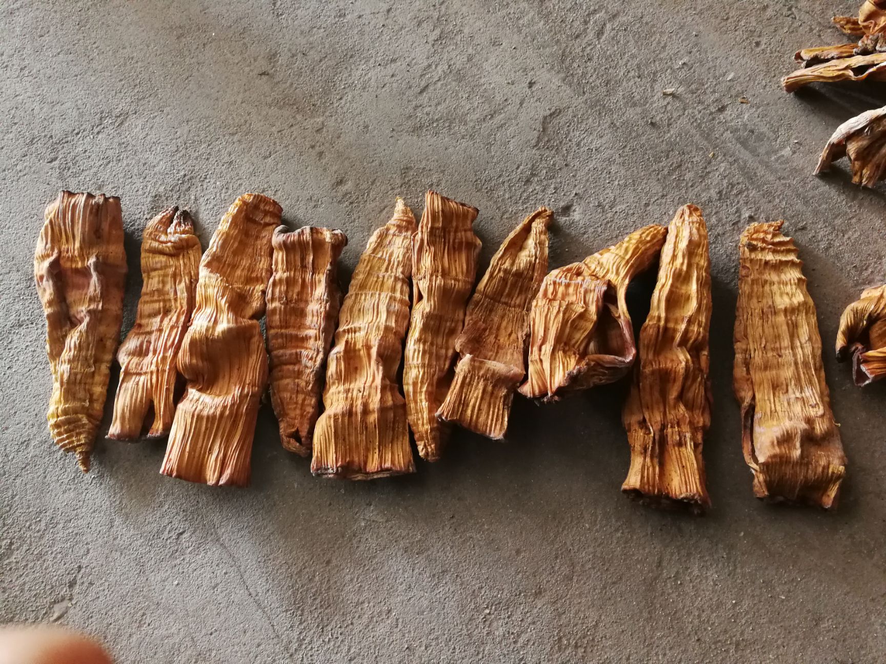 龙竹笋干 烟笋 筒筒笋 毛竹笋