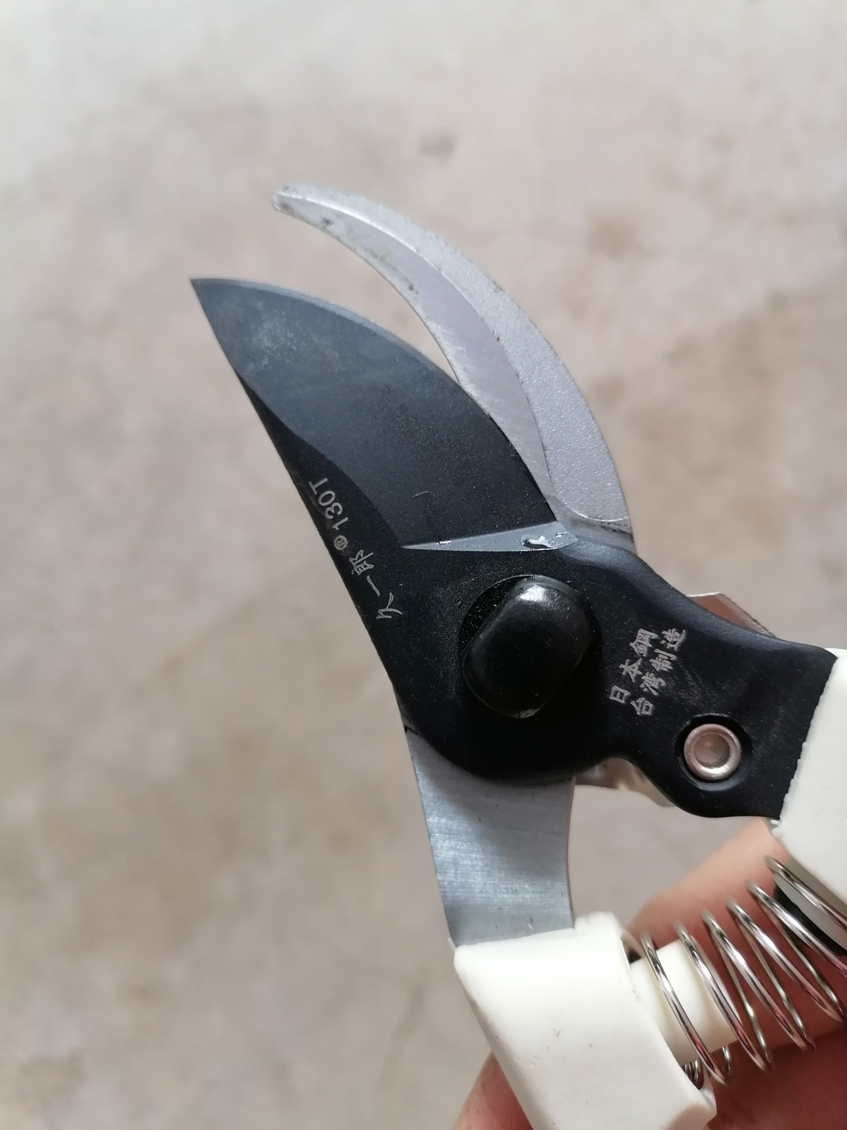 修枝剪刀 果枝剪树枝剪粗枝剪苹果树桃树专用剪刀