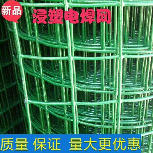 安平县鸽笼  小孔荷兰网 铁丝网 围网 养殖网 防护网 隔离网养鸡网鸽子笼