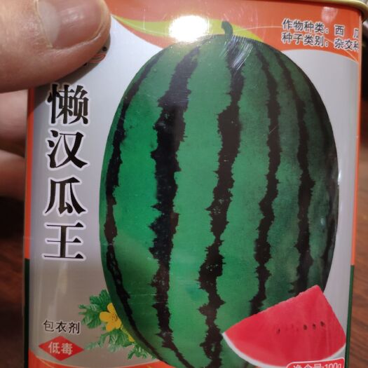 武汉懒汉西瓜种子 新疆懒汉瓜王