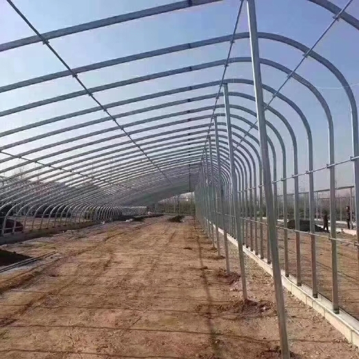 天津大棚管 蔬菜大棚，果蔬大棚 镀钢管 椭圆管，可根据客户要求定尺加工。