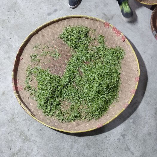 婺源县 婺源仙枝做工尖细，口感好纯绿茶，