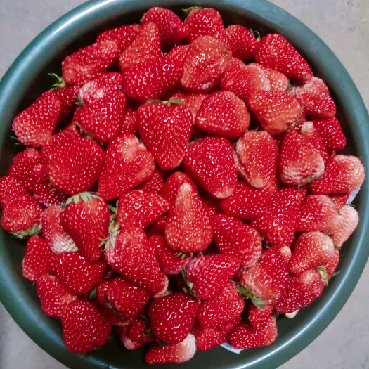 泗县 墩集草莓口味纯正美味是你不错的选择，大中果分明
