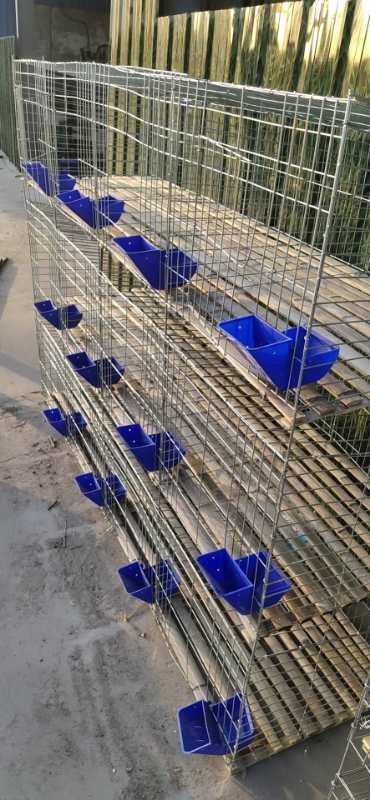 嘉祥县刮粪板 兔笼兔子专用笼具
