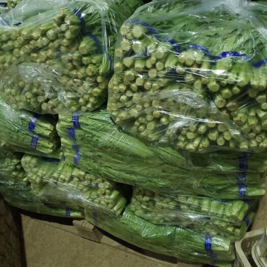 曹县 上海青，小白菜，万亩蔬菜基地，保质保量，欢迎各地老板订购