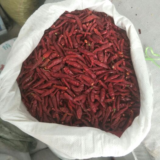 兴平市【包邮】朝天椒干辣椒新货 三樱椒包邮