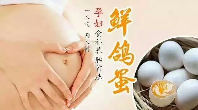 白鸽蛋 农家鲜鸽蛋纯五谷杂粮喂养，真正的，先预订再收蛋保证新鲜