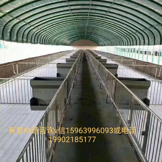 天津钢管大棚 养种殖大棚厂家直销各种大棚配件   量大优惠有意向咨询我