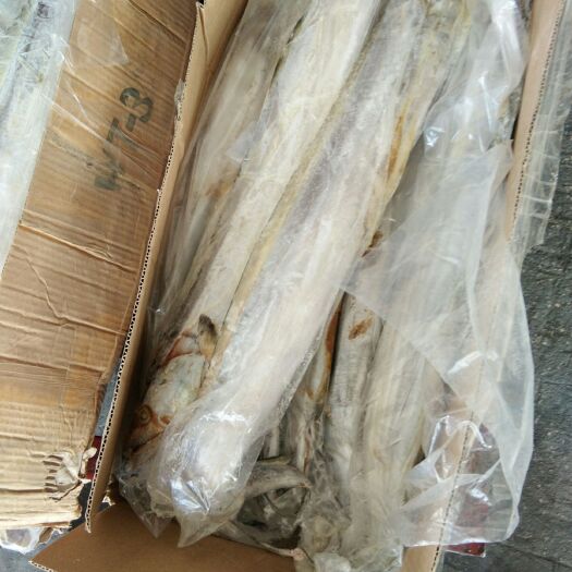 济宁 带鱼还有些货，要的老板们抓紧时间联系数量不多了