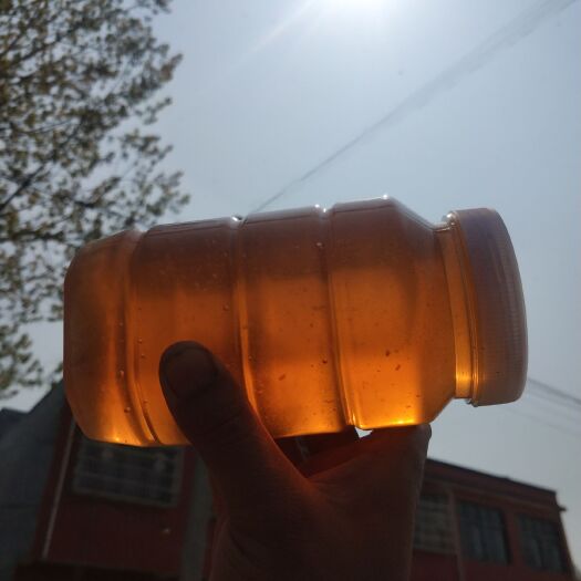 泌阳县野生蜂蜜 天然食品