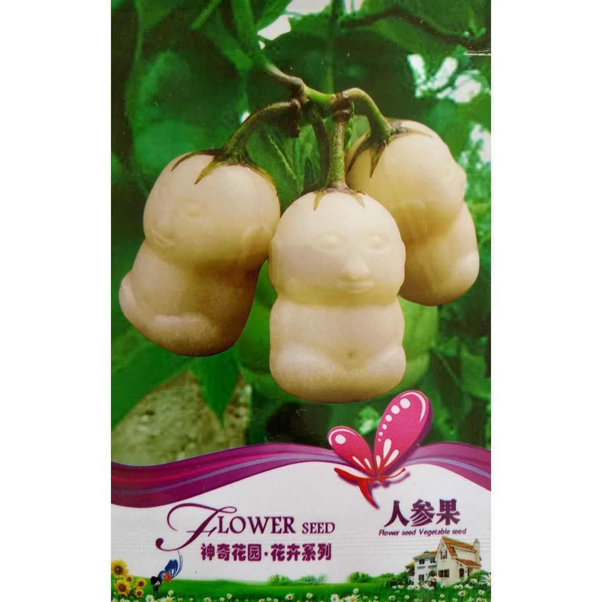 南京火参果种子 人参果/茄瓜种子 奇特植物蔬菜水果花卉种子 家庭阳台 包