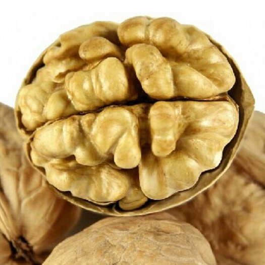 温宿县 新疆薄皮核桃，诚信经营质量非常好