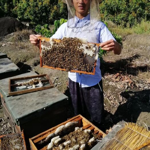 保山 有花香味的蜂蜜