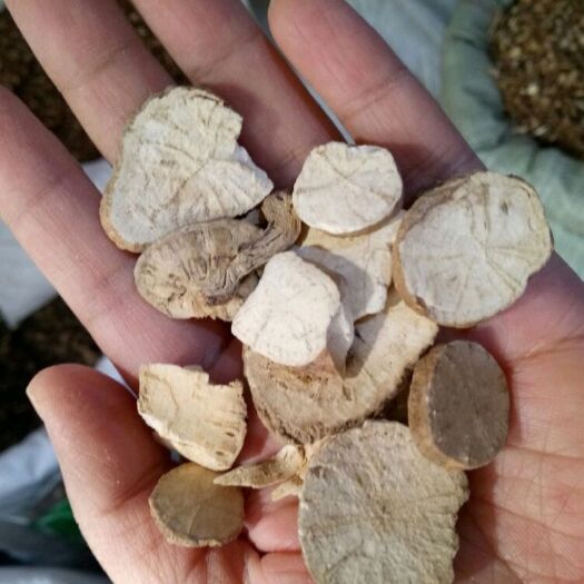 粉防己 江西货 切片