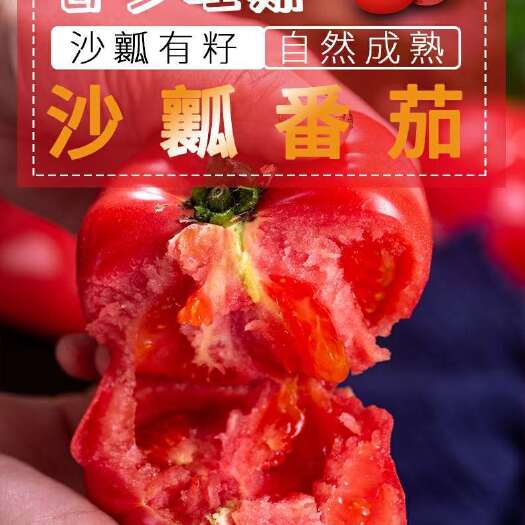 陕西普罗旺斯西红柿 产地直发 包邮