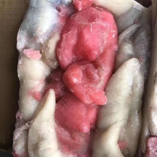 威海印度洋鱿鱼籽 红籽 白籽 混合籽