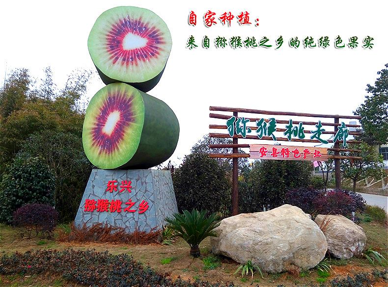 红心猕猴桃 7月底看果，出口品质，自家和代办