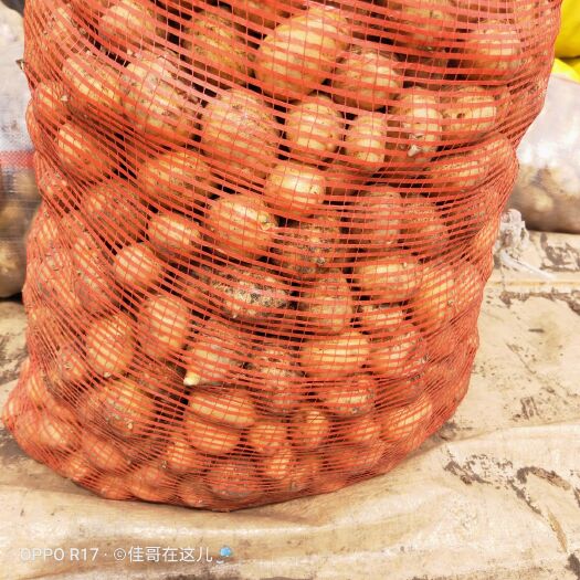 石屏县丽薯6号  丽薯六号种薯，丽薯六号