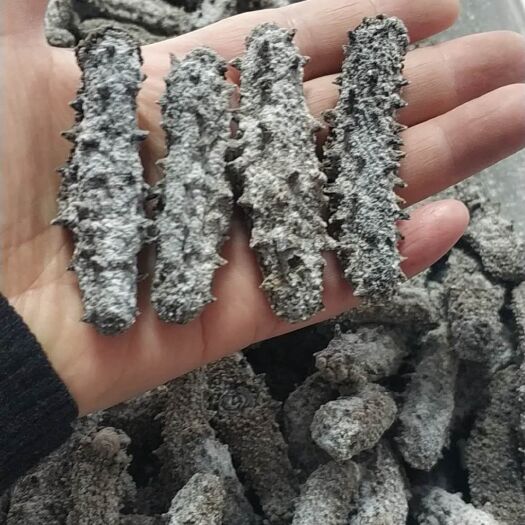 荣成市 老淡干海参
