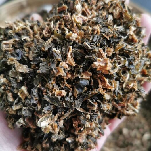 姚安县荠菜干 专业种植生产销售梅干菜，欢迎来样加工