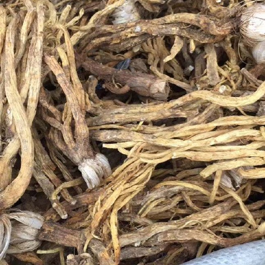 维西县 秦艽统干货现货5吨左右需要客服赶紧下单了