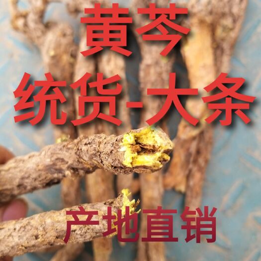 商洛 黄芩有名枯芩产地直销常年供大货包含量