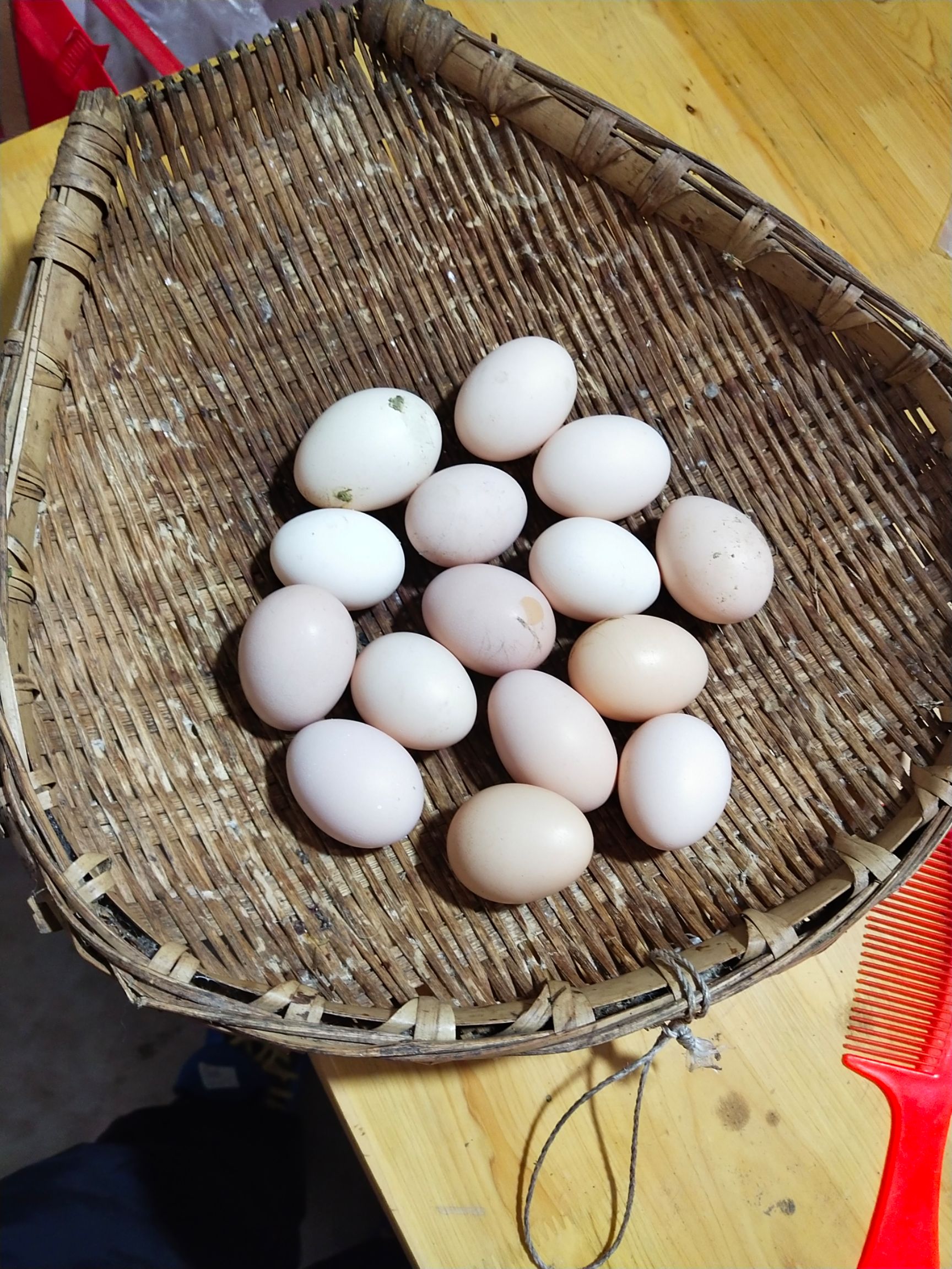  生态农产品，土鸡蛋和养殖鸡蛋的区别！