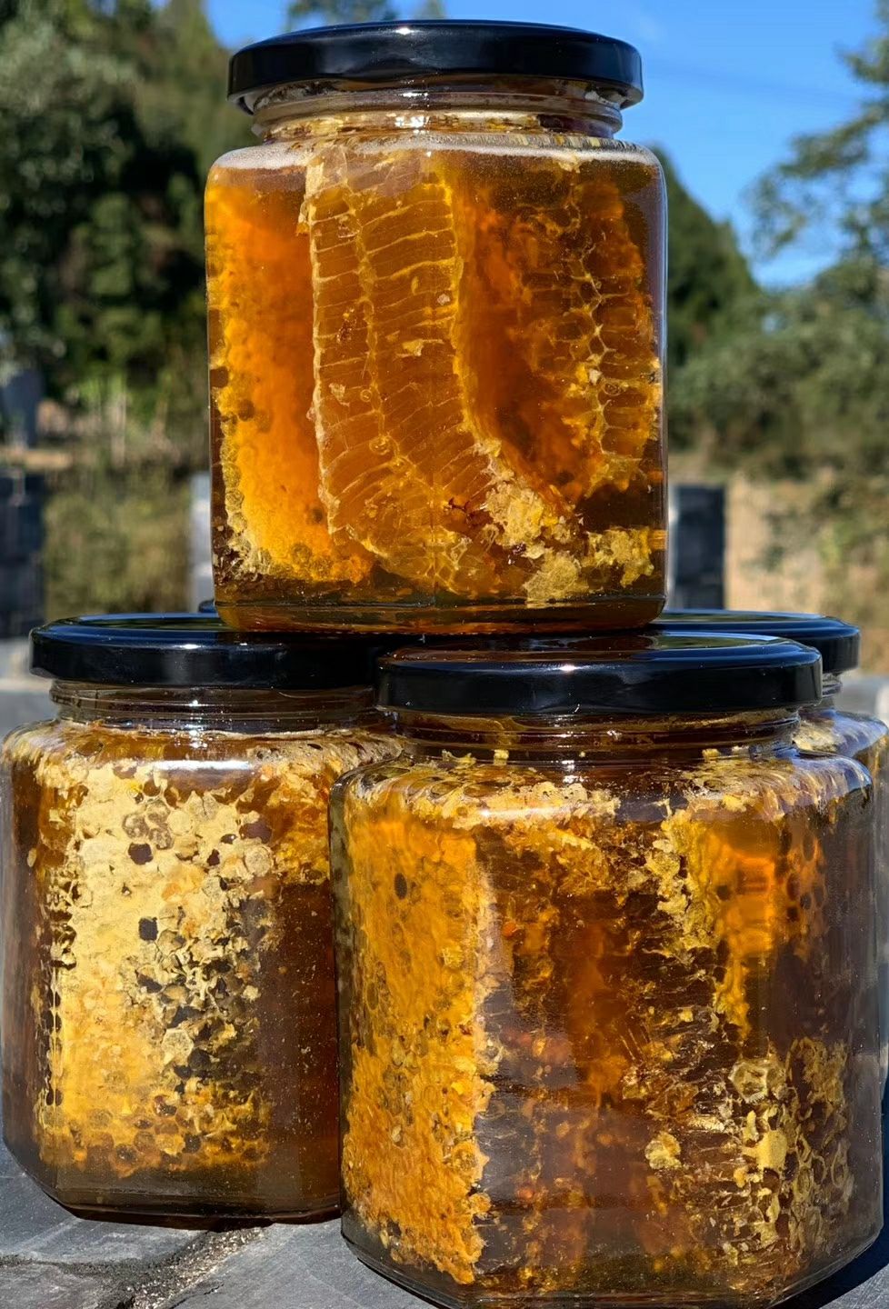 梦见蜂蜜和蜂巢在山上(梦见山上好多蜂蜜)