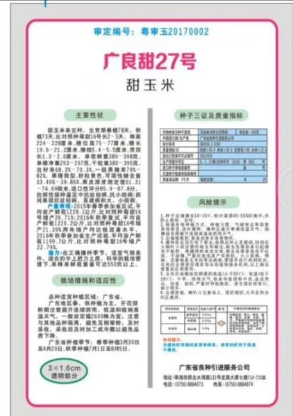 泰國甜玉米種子，廣良甜27，甜玉米種，抗病強(qiáng)產(chǎn)量高棒子大