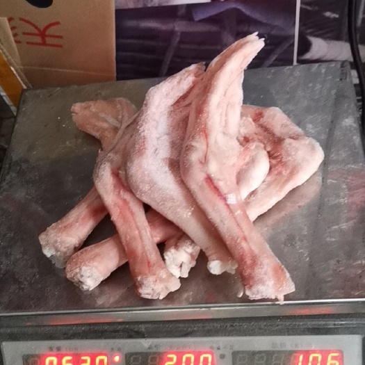 广州大鹅掌一斤6~7个，与淤血无断掌，一箱30斤，量大价优
