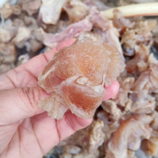 牛肉筋 熟牛建把筋