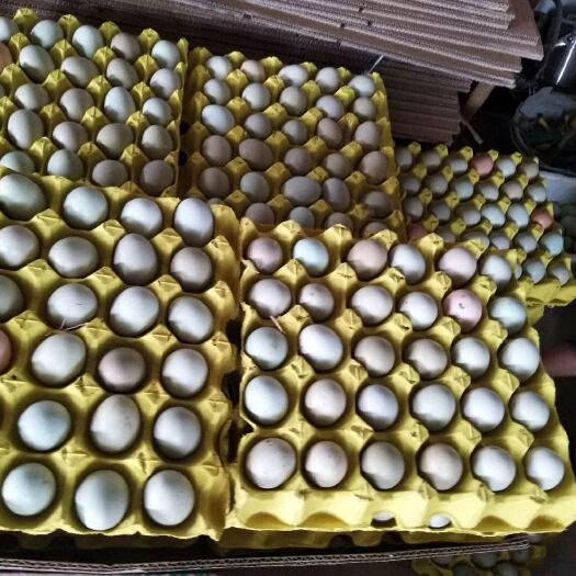 武穴市土鸡蛋 食用 箱装