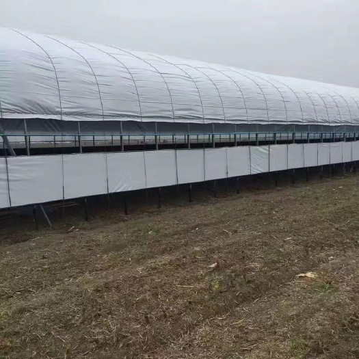 怀远县养殖大棚 您的满意，我的追求