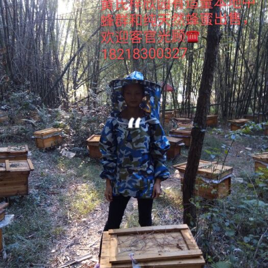 阳山县 黄氏梓欣蜜蜂园出产的蜂蜜是完全由本土蜜蜂在大自然酿成的纯蜂