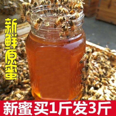 新郑市 蜂蜜天然正品纯野深山百花蜜 农家自产自销 自然成熟封盖土蜂