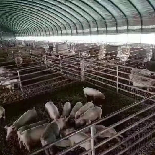 天津养殖设备 养殖棚