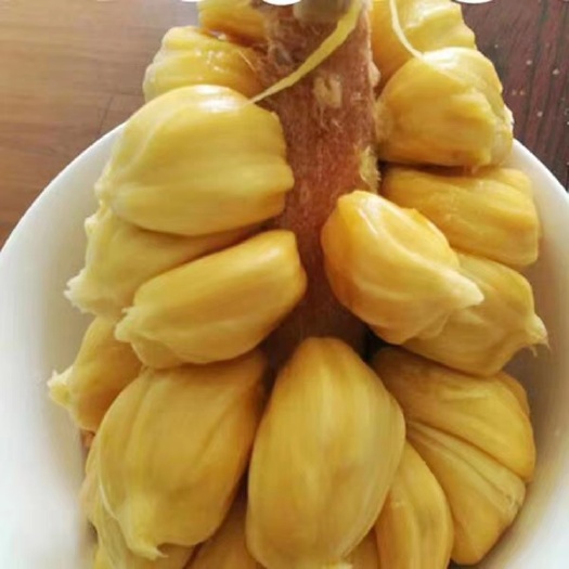 灵山县榴莲蜜树苗  榴莲蜜苗，正品嫁接苗