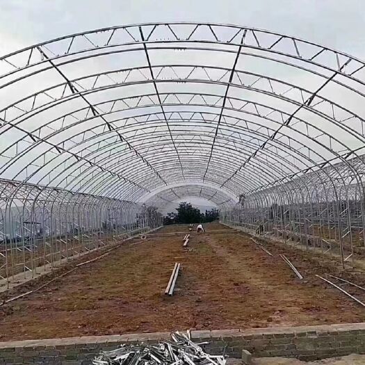 天津镀锌带种植大棚