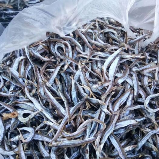 青岛 面条鱼（银针鱼），的，淡干，无盐，
