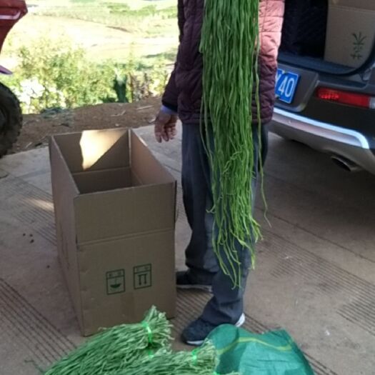 鹤庆县苔干  一级菜