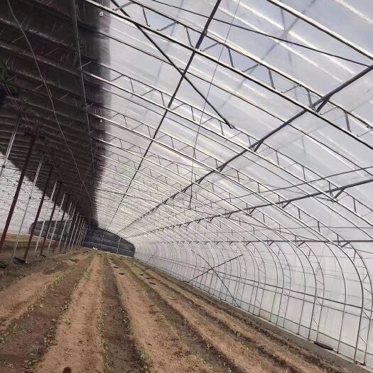 天津养殖大棚 大棚管  免费画图    大棚配件   需要的 联系我